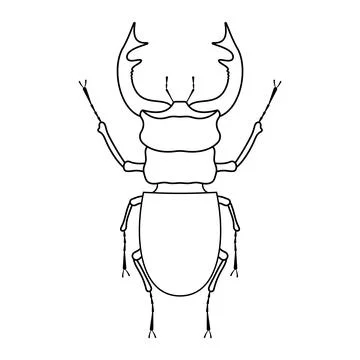 Stag Beetle Vector Outline Illustration Stock Illustration