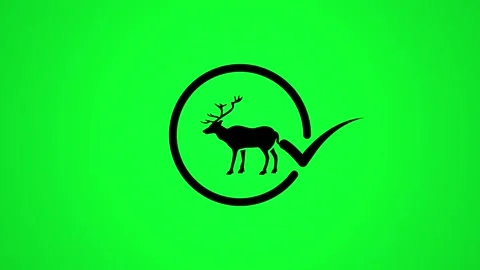 Stag deer animation on green screen with circle and checkmark motion graphi.. 스톡 동영상 346497995