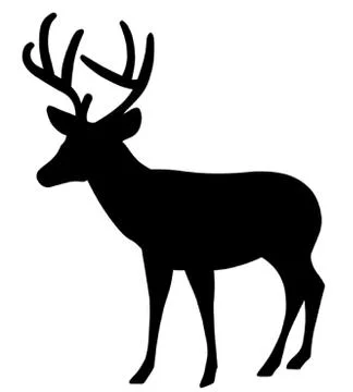 Stag Stock Illustration