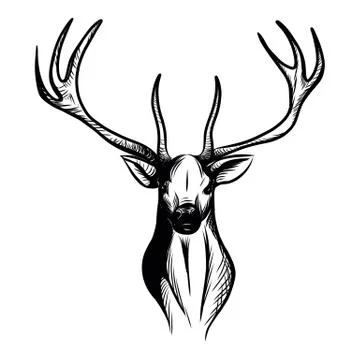 Stag Stock Illustration