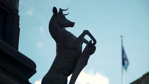 Stag Sculpture with Scottish Flag Background Stock Footage 243353346