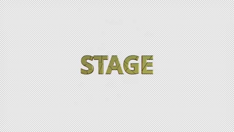 STAGE Stock Footage 307982176