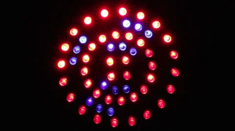 Stage light bulbs Stock Footage 25854729