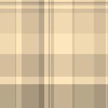 Stage texture seamless plaid, tradition fabric vector pattern. Grunge check.. 库存插图