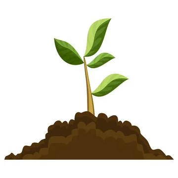Stage of tree growth. Small tree growth with green leaf and branches. Green Stock Illustration