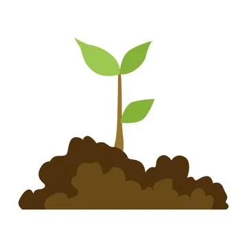 Stage of tree growth. Small tree growth with green leaf and branches Stock Illustration