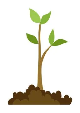 Stage of tree growth. Small tree growth with green leaf and branches Stock Illustration