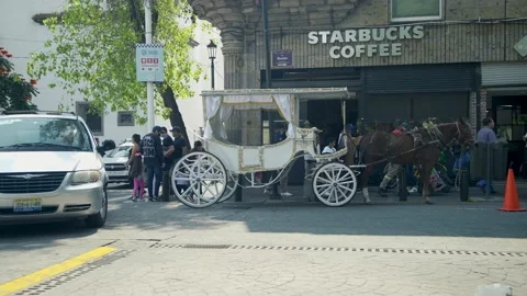 Stagecoach in a Historic City. Stock Footage 214208780