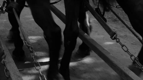 Stagecoach Pulled By Horses Close Up Hooves Carriage Chains Historic Transport Stock Footage 102405582