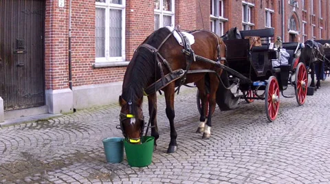 Stagecoach in waiting for tourists. Stock Footage 35717191