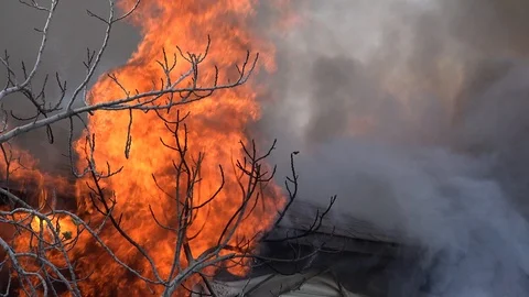 Staged fire demonstration , zoom out burning family home Vidéo 100048147