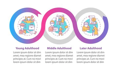 Stages of adulthood vector infographic template Stock Illustration