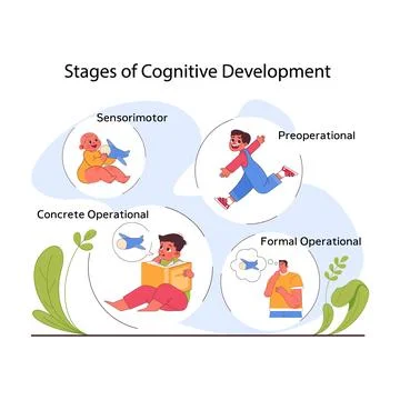 Stages of children cognitive development. Process of kids intelligence イラスト素材