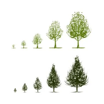 Stages of growing tree for your design Stock Illustration