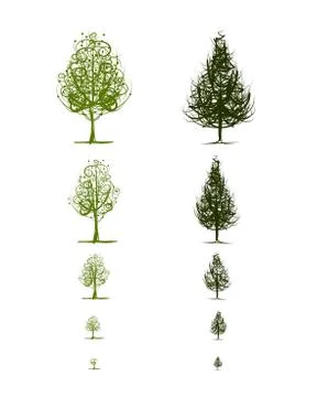 Stages of growing tree for your design Illustrazione stock