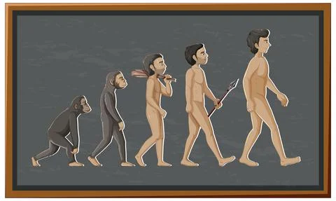 Stages of human evolution cartoon character Illustrazione stock