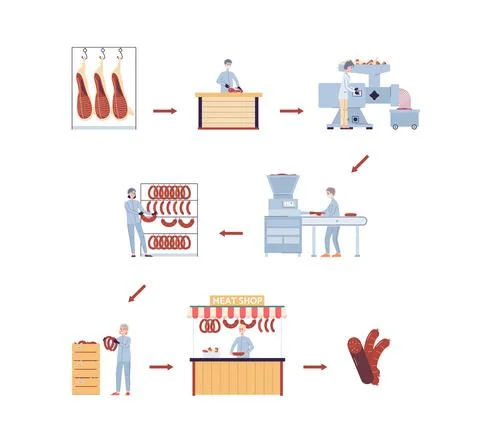 Stages meat processing infographics a vector illustration isolated on a white. Stock Illustration