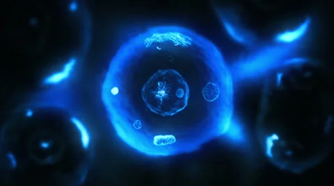 Stages of mitosis. Biology background. Blue and black. Stock Footage