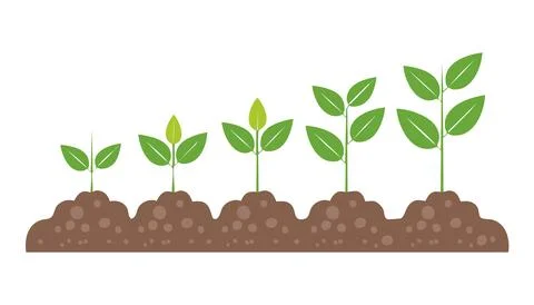 Stages of plant life from tiny sprout to flourishing plant capturing nature.. 스톡 일러스트