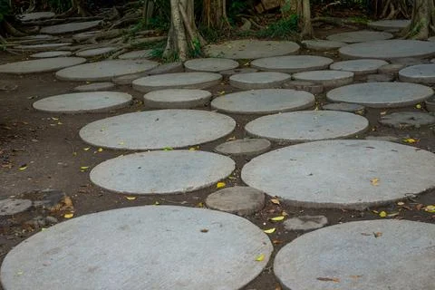 Staggered walking paths paved with circular stone slabs in the forest Stock Photos