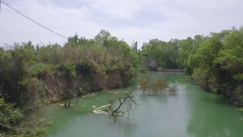 Stagnand water with trees Stock Footage 76657433