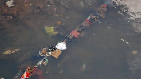 Stagnant river water with floating plastic debris in slow motion. Stock Footage 336322658