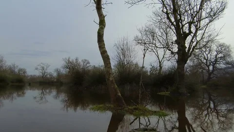 Stagnant Water With Beautiful Reflections Stock Footage 106612185
