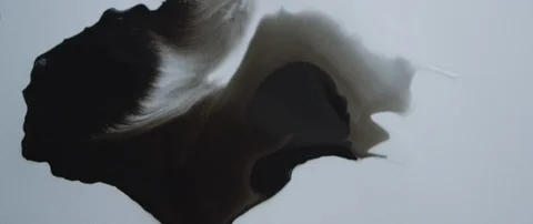 Stain of black ink spreading on white canvas Stock Footage 101666489