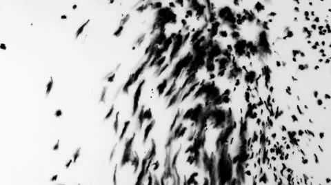 Stain. Stock Footage 24644119