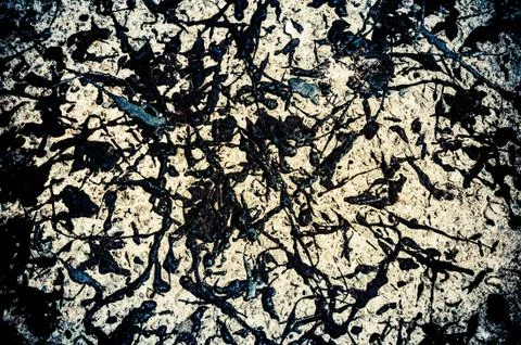 Stain on splashed asphalt 스톡 사진