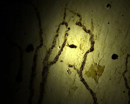 Stained Concrete Видео 102948