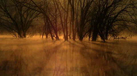 Stained dawn mists Stock Footage 45666769