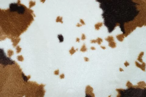 Stained fur Stock Photos