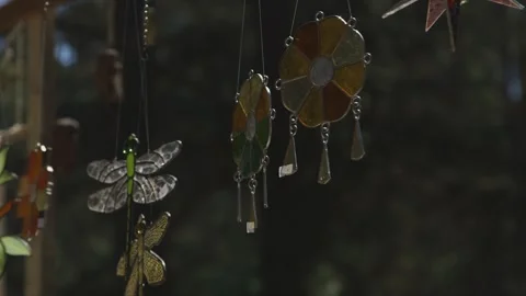 Stained glass decor, pine forest, dragonfly, parrot, ornament Stock Footage 247902013