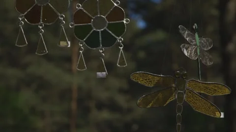 Stained glass decor, pine forest, dragonfly, parrot, ornament Stock Footage 247902084