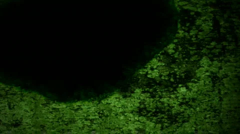 Stained Green Видео 105418