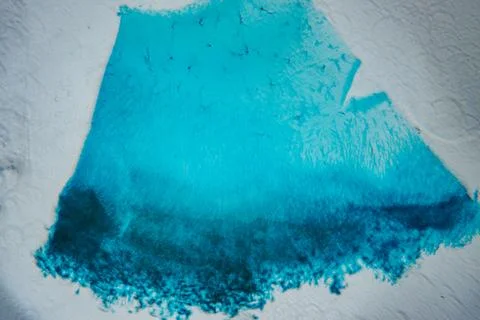 A stained microscope image of a plant root tip, showing areas. Stock Photos