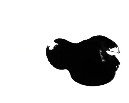 Stained White Видео 103356