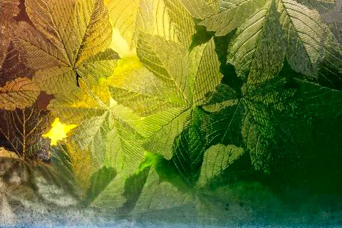 Stained window Stock Photos