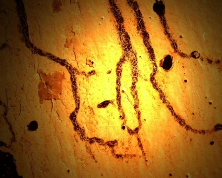 Stained Yellow Wall Видео 102412