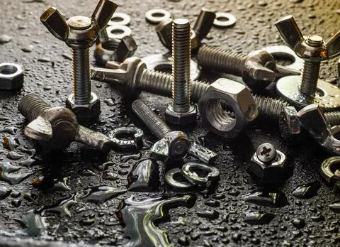 Stainless fasteners Stock Photos