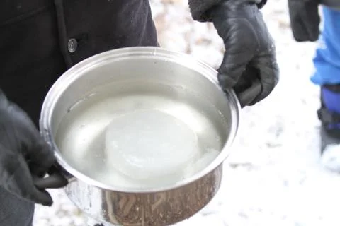 Stainless pot with collected sap Foto stock