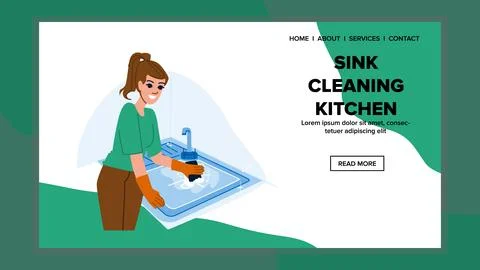 Stainless sink cleaning kitchen vector Stock Illustration