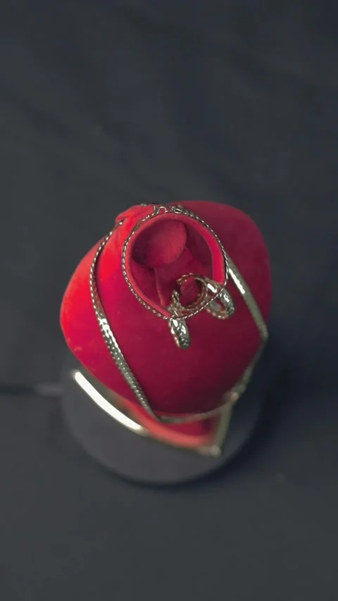 Stainless Steel Chain And Ring On Red Velvet Jewelry Stand Stock Footage 339427754