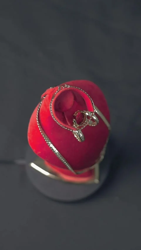 Stainless Steel Chain And Ring On Red Velvet Jewelry Stand Vídeos de archivo 339427765