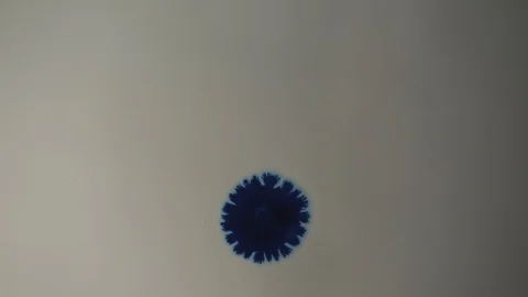 Stains and patterns in the water Stock Footage 112110181