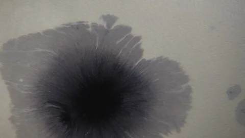 Stains and patterns in the water Stock Footage 112111082