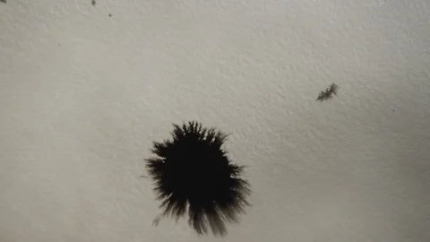 Stains and patterns in the water Stock Footage 112111826