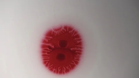 Stains and patterns in the water Stock Footage 112112538