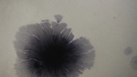 Stains and patterns in the water Stock Footage 112114145